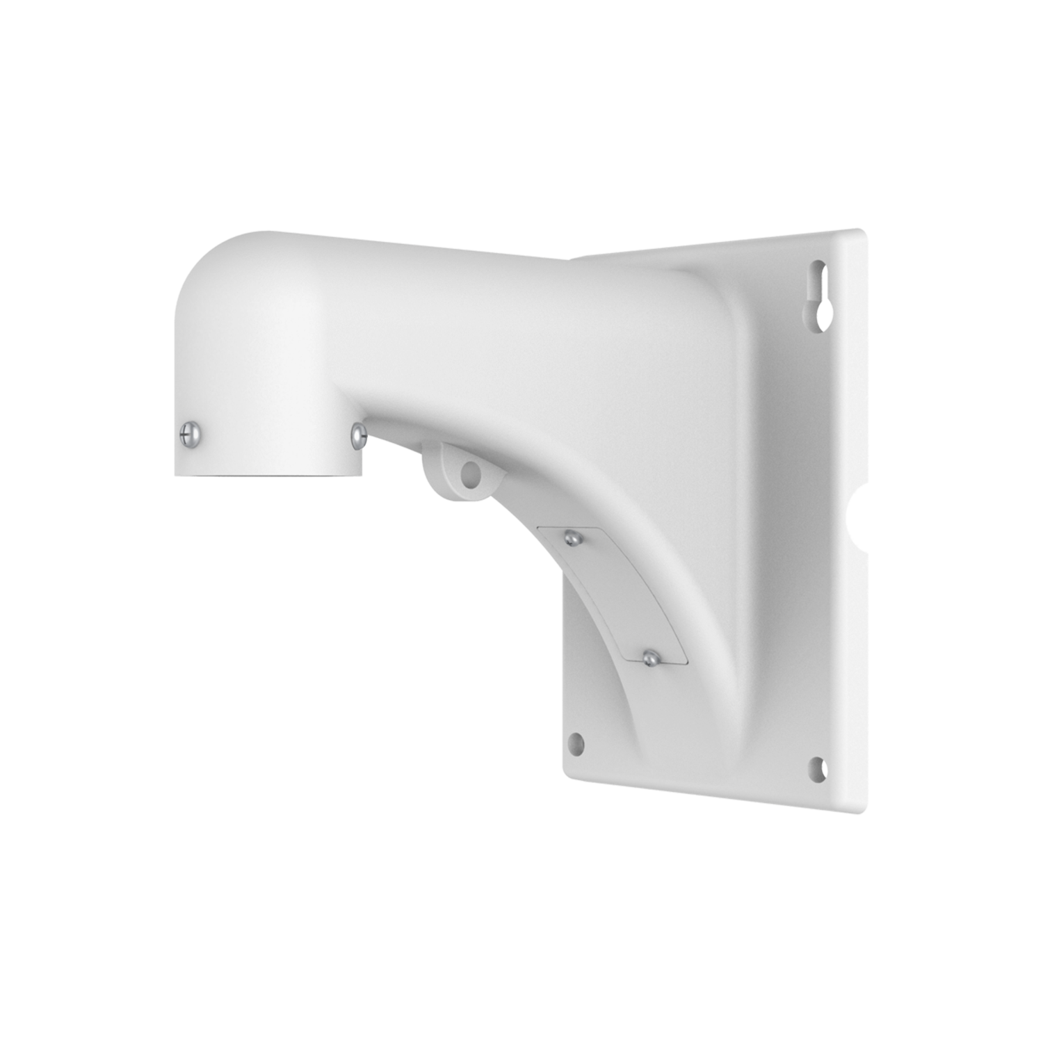 PTZ Dome Wall Mount